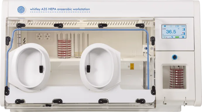 Whitley A35 HEPA Arbeitsstation