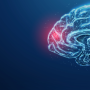 Clinical Case: What is the Role of Anaerobes in Brain Abscesses?