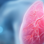 Fortschritte in der Forschung zur pulmonalen Hypertonie durch kontrollierte hypoxische Umgebungen