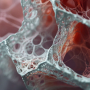 Modellierung von Hypoxie in der Forschung zur idiopathischen Lungenfibrose