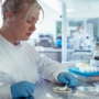 In unserem mikrobiologischen Labor…