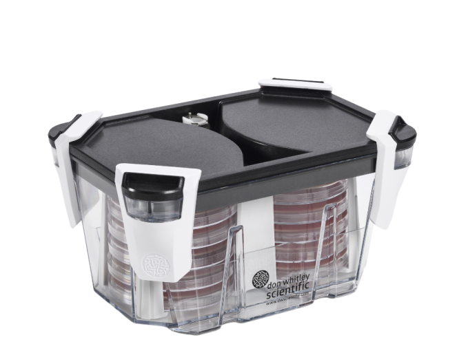 Whitley Incubationbox Bild