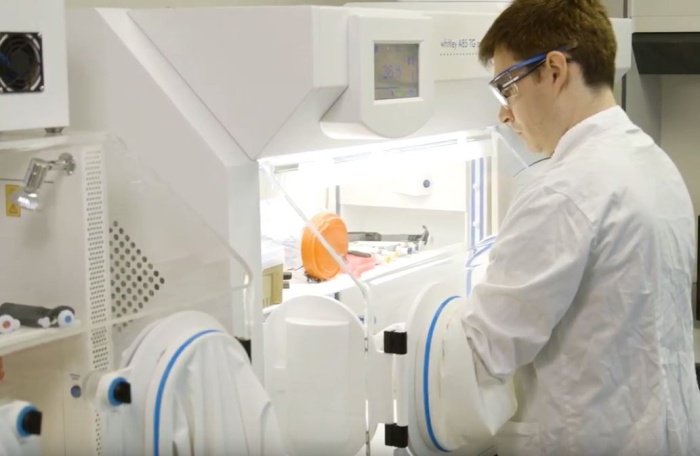 Whitley Workstations Used in Creation of Clostridium-assisted Drug Delivery Platforms