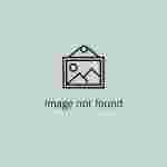 The Whitley Hypoxystation