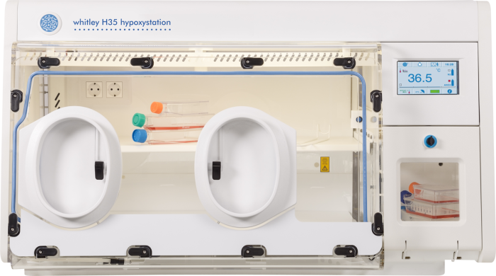 Whitley H35 Hypoxystation