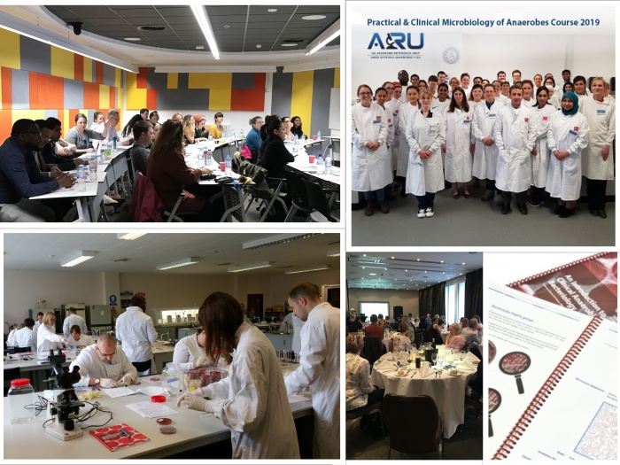 Book Your Place on the Practical & Clinical Microbiology of Anaerobes Course