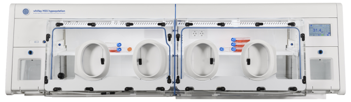 Whitley H55 Hypoxystation Bild